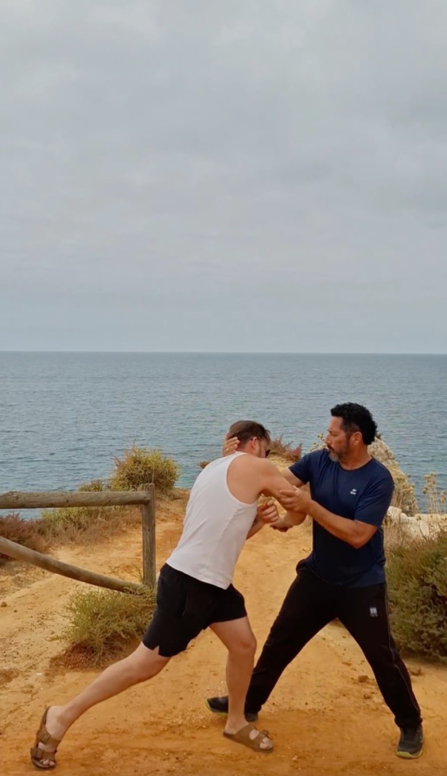 Aplicação de Wing Chun