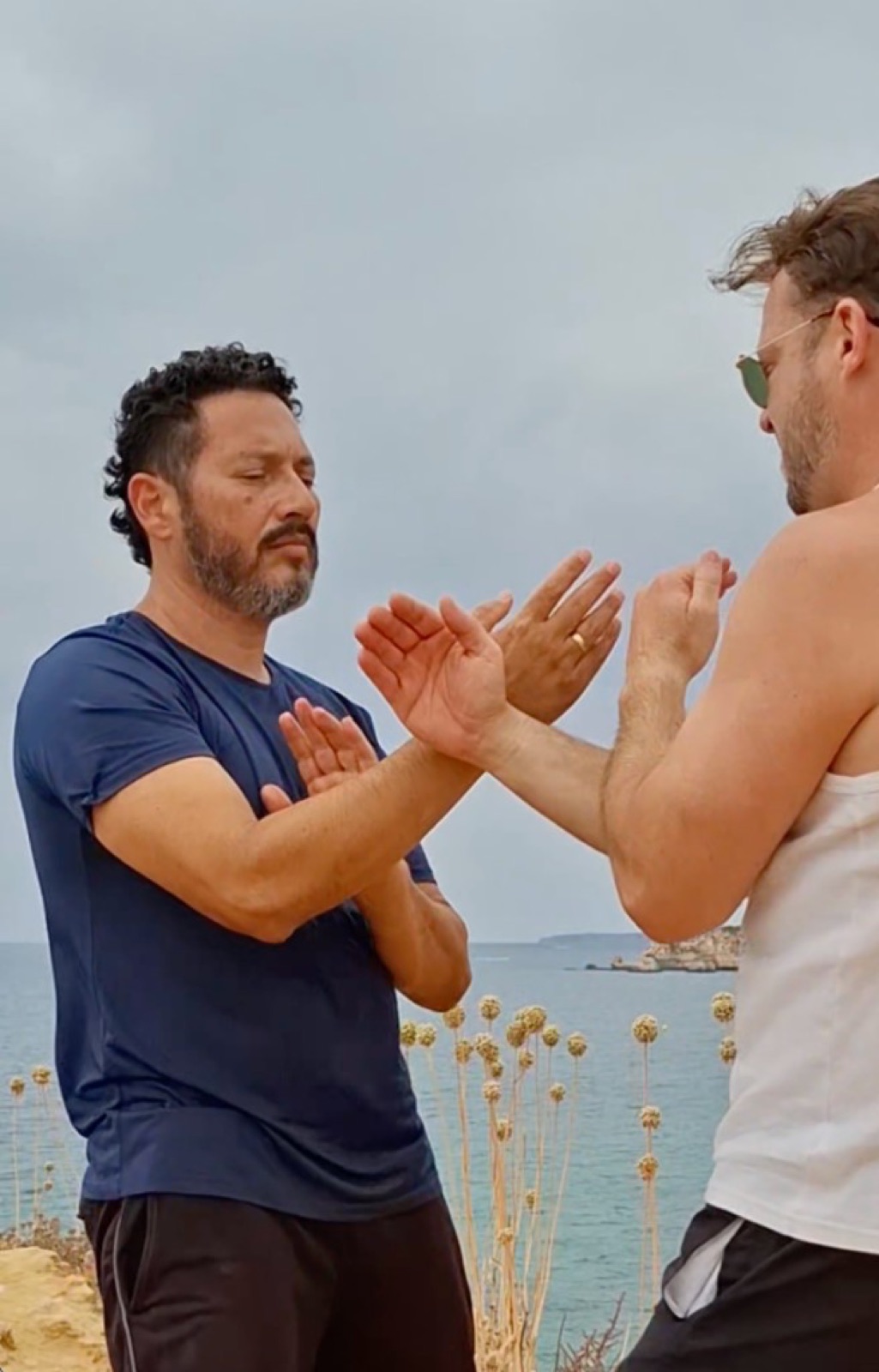 Chi Sau — treino de Wing Chun com parceiro